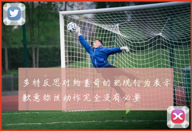 多特反思对约基奇的犯规行为表示歉意称该动作完全没有必要