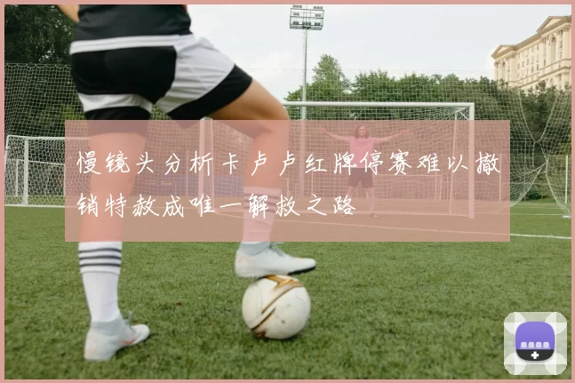 慢镜头分析卡卢卢红牌停赛难以撤销特赦成唯一解救之路