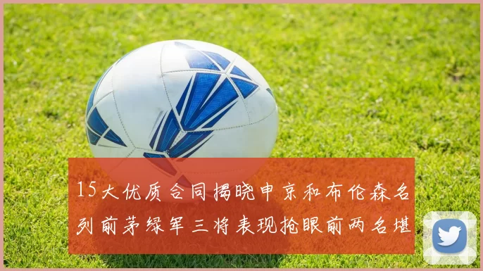 15大优质合同揭晓申京和布伦森名列前茅绿军三将表现抢眼前两名堪称传奇